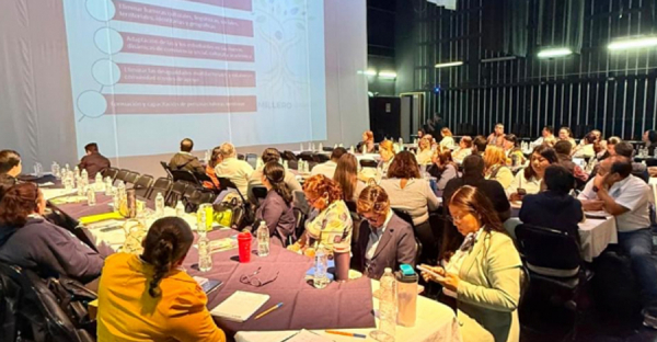 Presenta la SISyDIC estrategias de Tutoría-Mentoría Integral e Intercultural en la XXVI Sesión Ordinaria del Consejo Consultivo del PIT de la UNACH