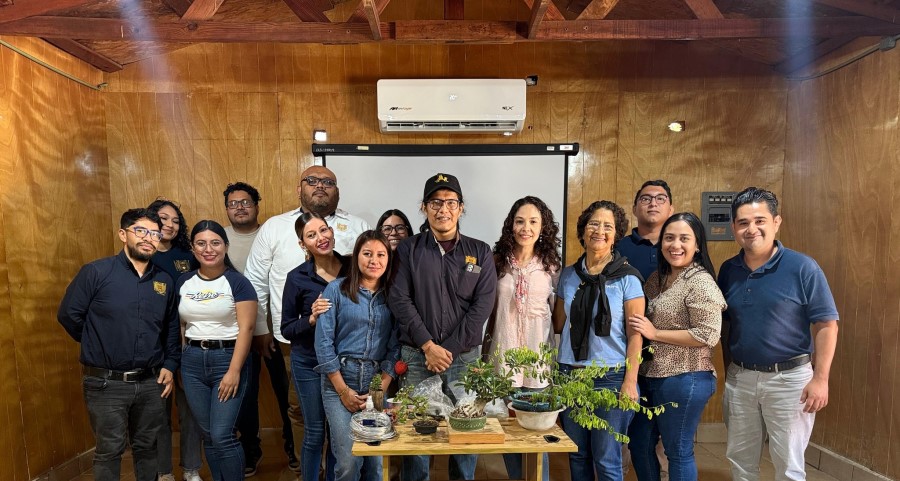 Taller Verde en la Oficina