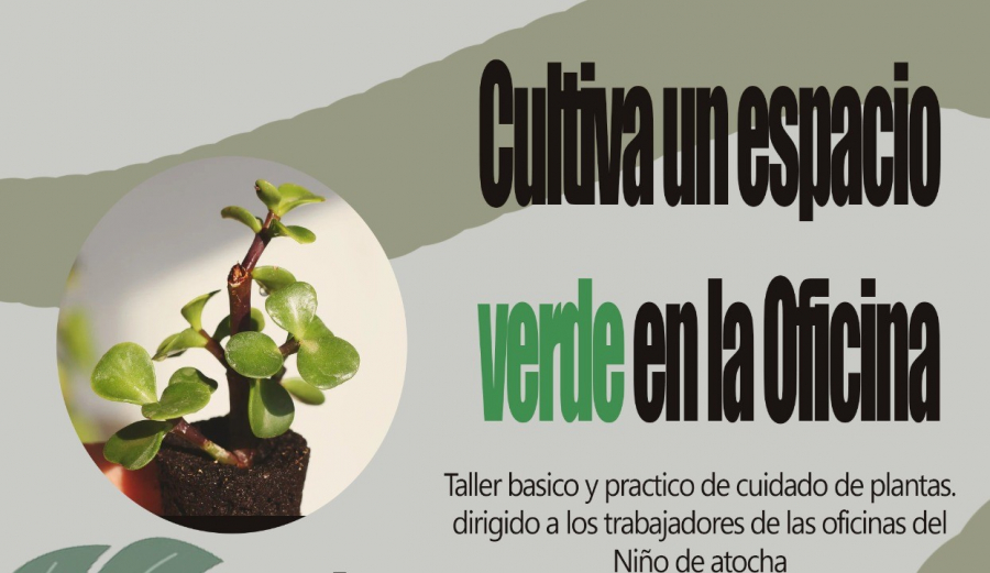 “Verde en la Oficina”