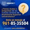 Profesional Superior Universitario