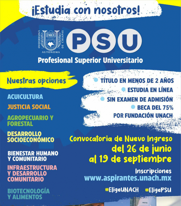 Profesional Superior Universitario